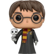 Harry Potter con Hedwig