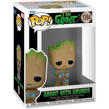 Groot with Grunds