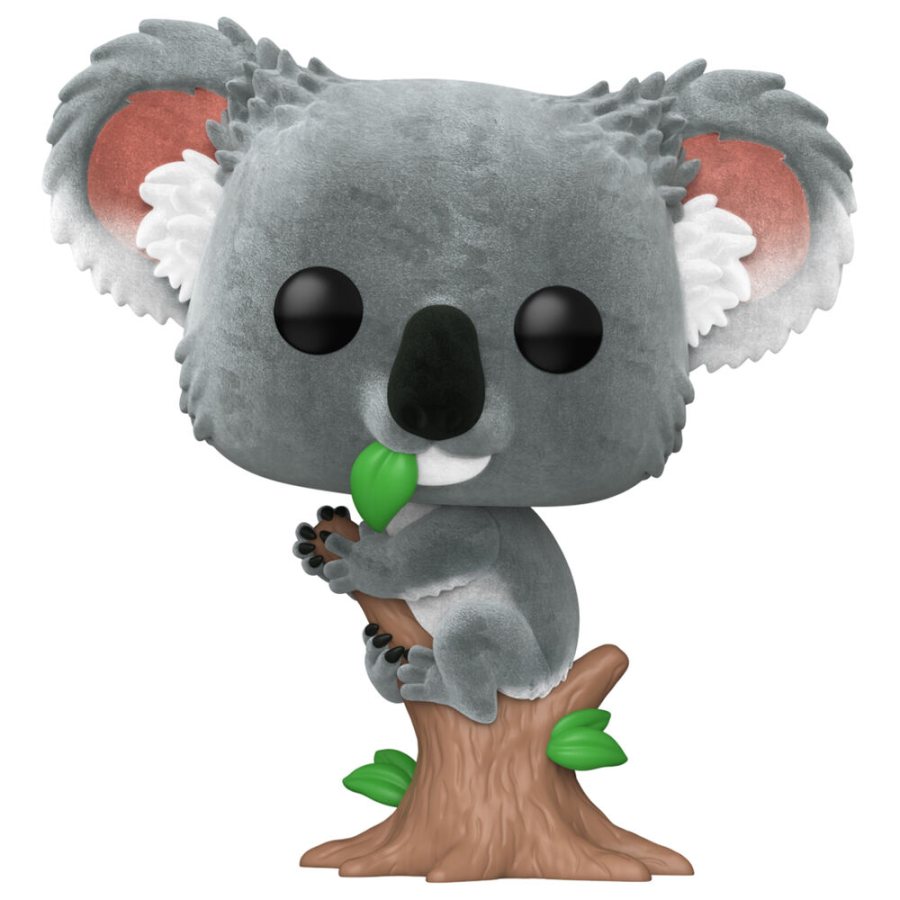 Koala