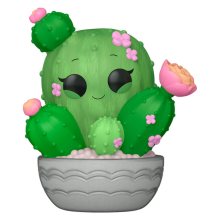 Cactus de Barril