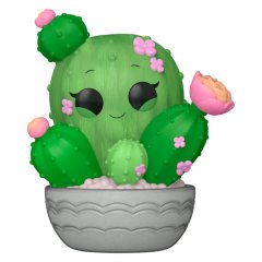 Cactus de Barril