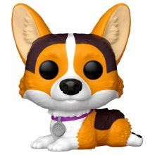 Corgi