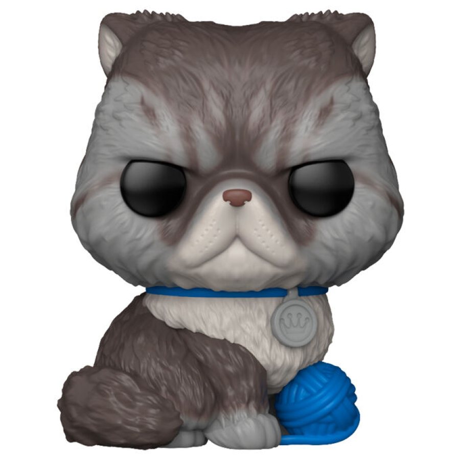 Gato Persa