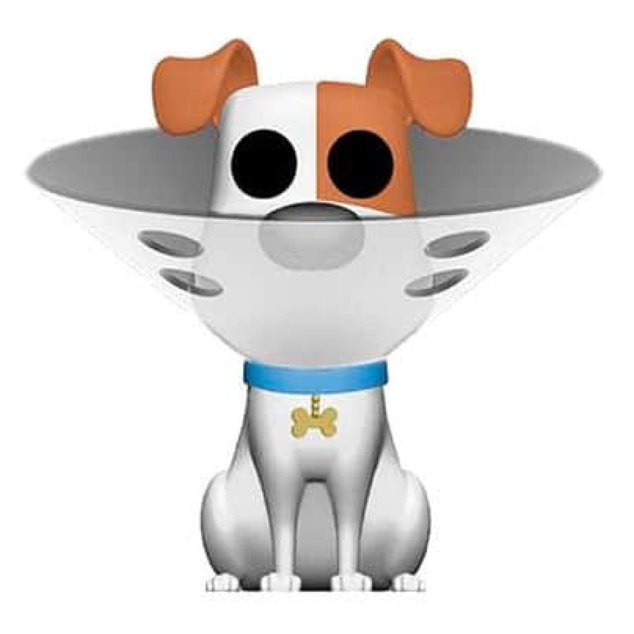 Max in Cone