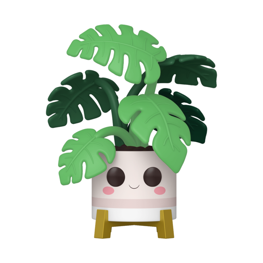 Monstera