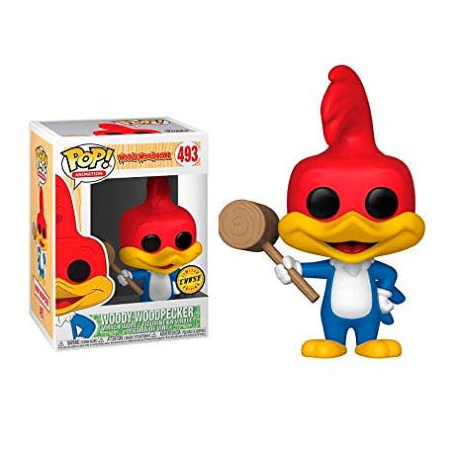 Pajaro Loco Chase
