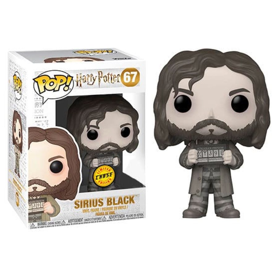 Sirius Black Prision Chase